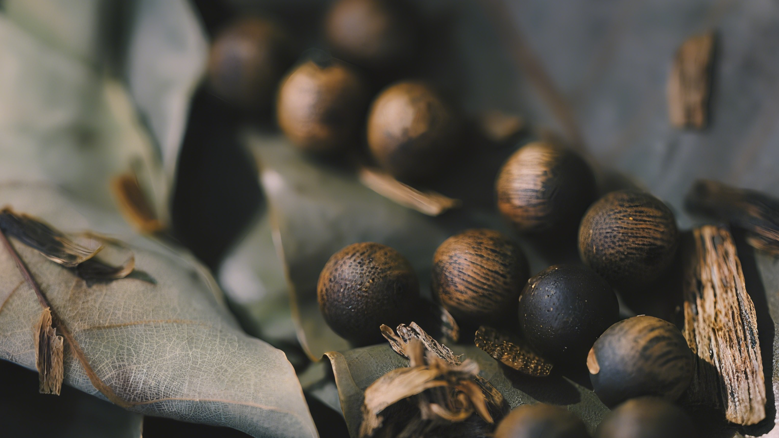 Agarwood’s Spiritual Aroma: Calming the Mind & Daily Care