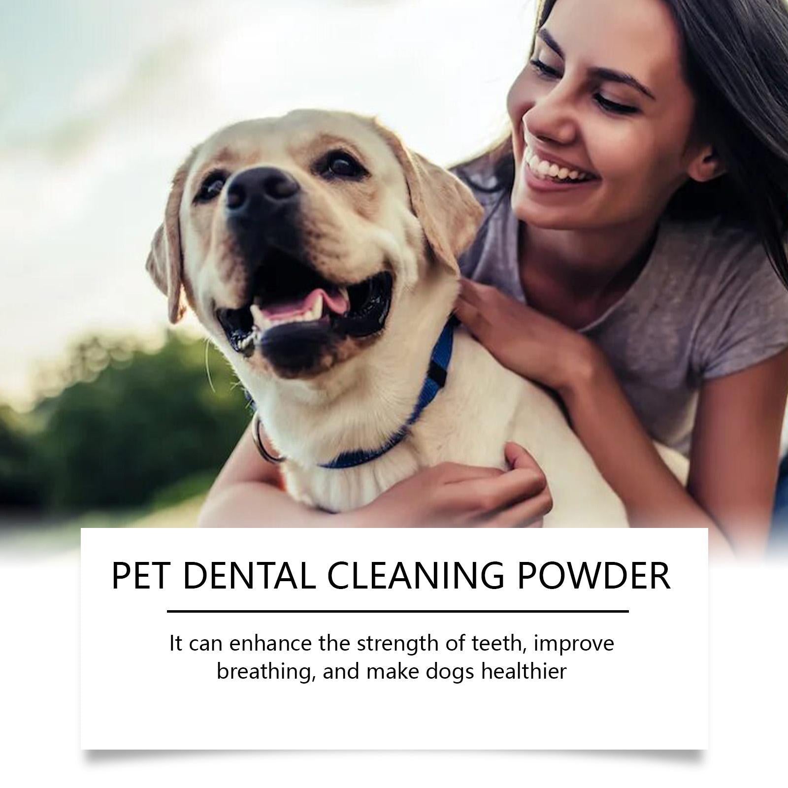 Happy dog image representing fresh breath and daily oral care routine