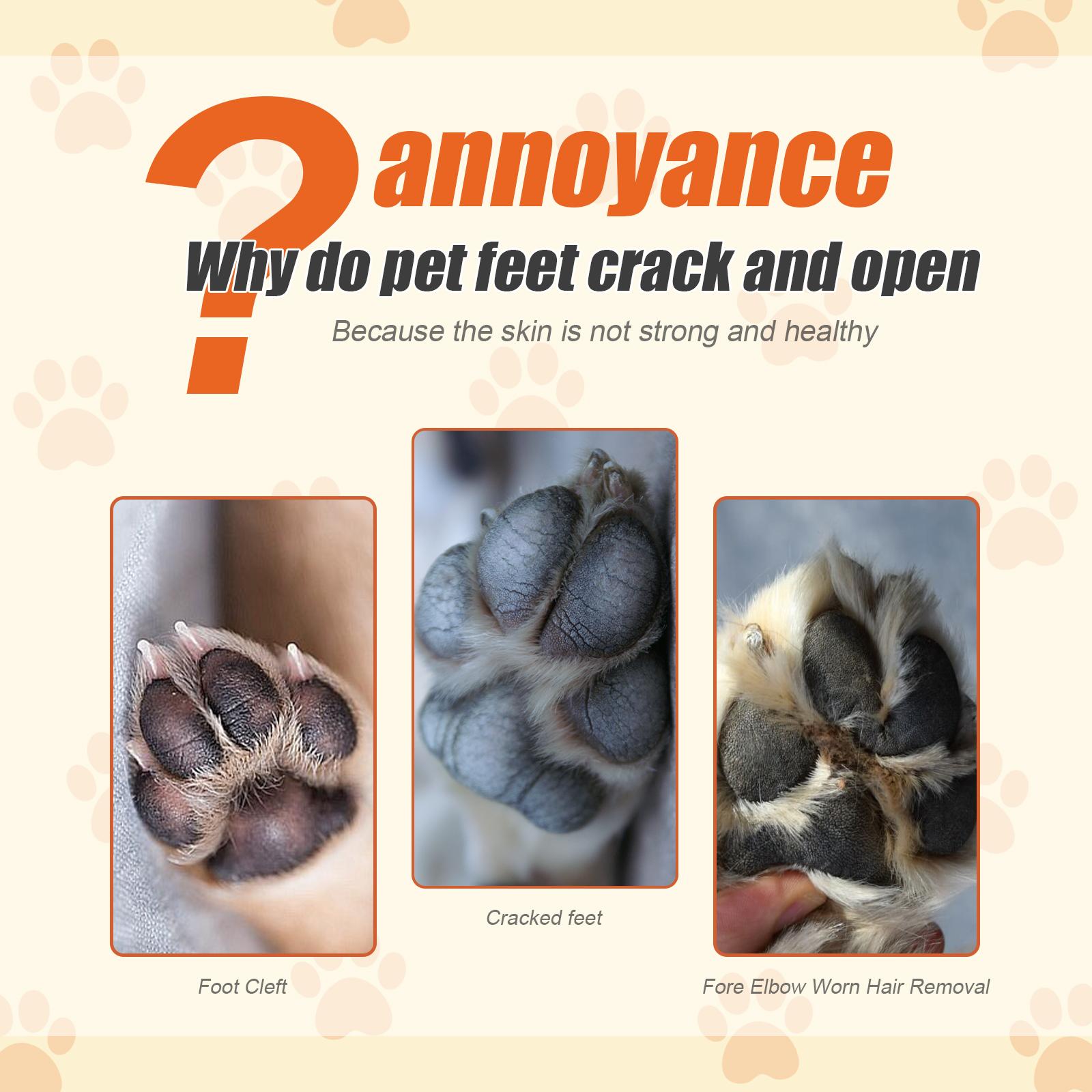 Before and after using pet paw balm on cracked paws