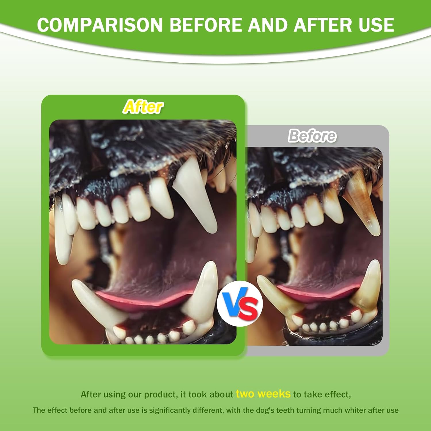 Before and after pet teeth cleaning with dental powder