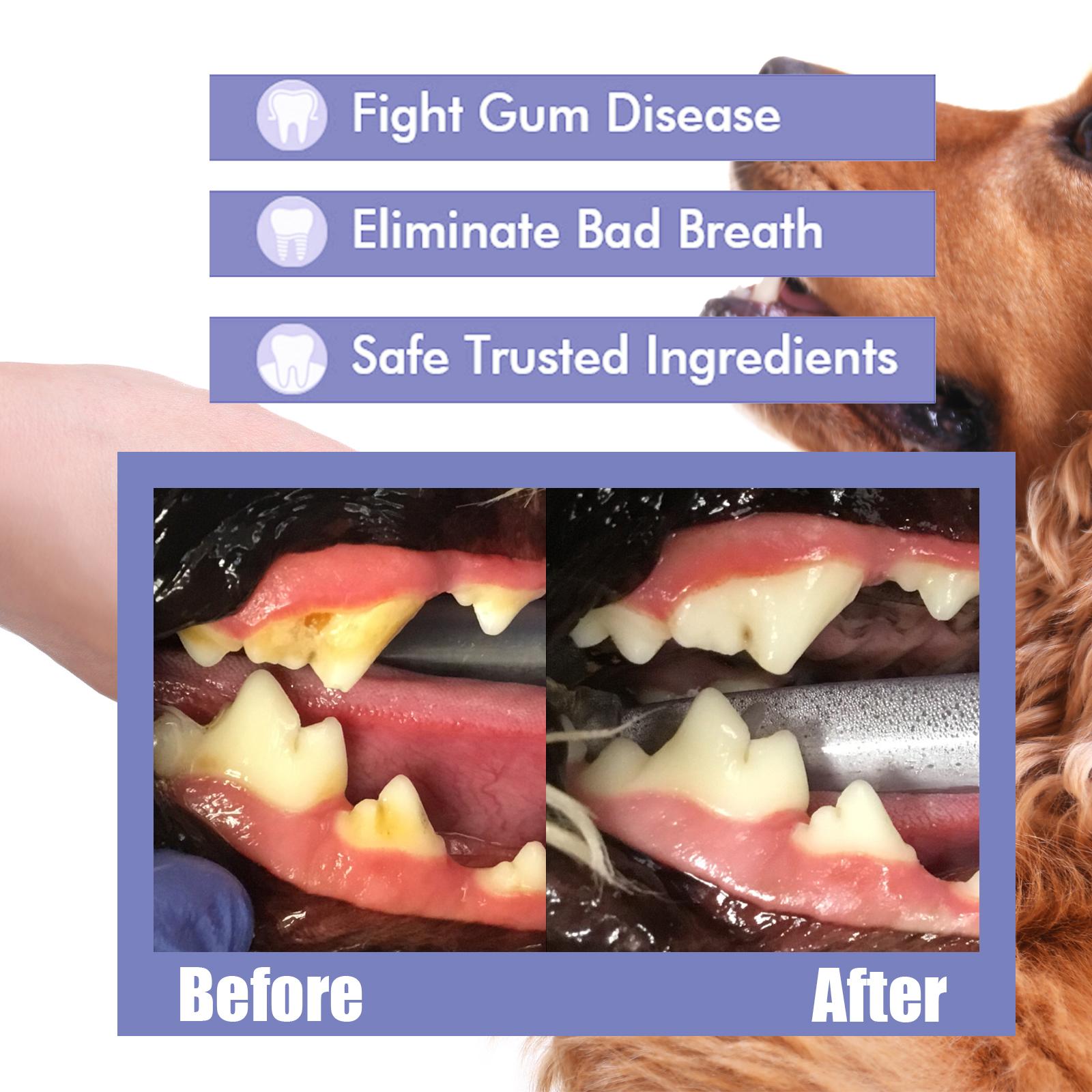 Dog enjoying fresh breath after oral spray use