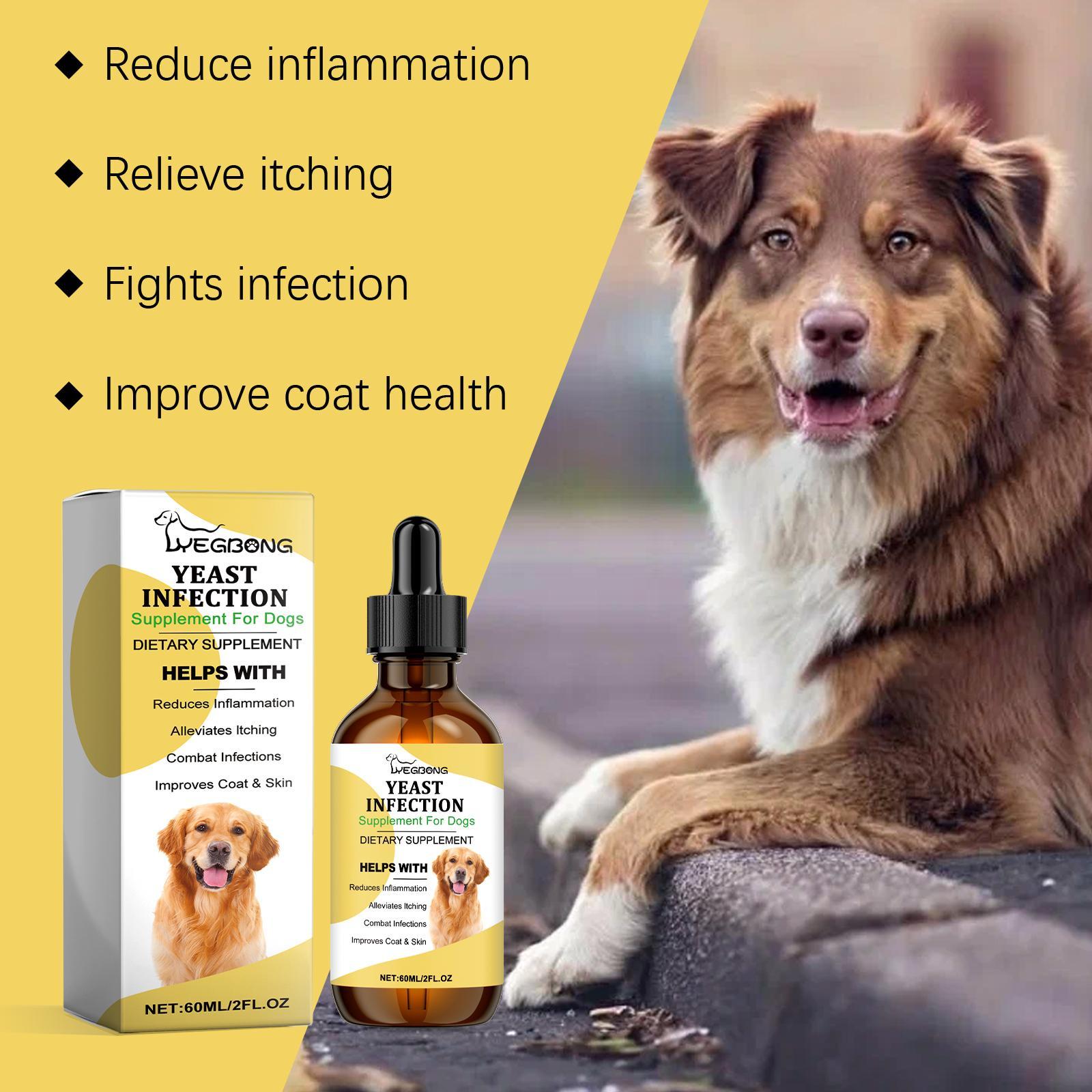 Dog enjoying outdoor activity with skin and coat support supplement