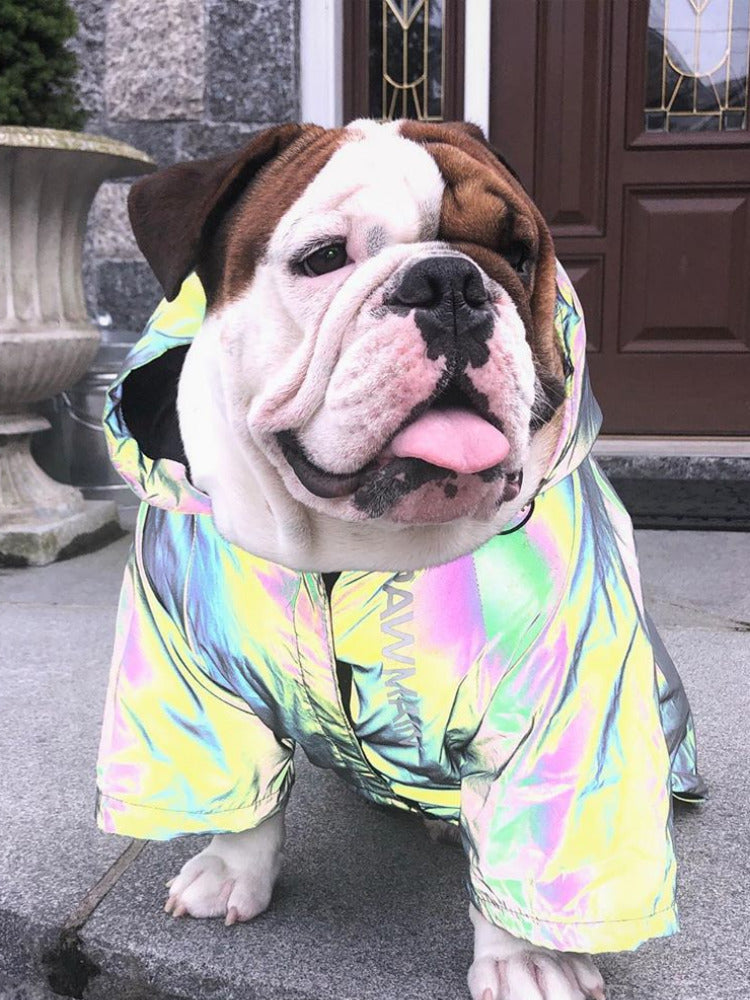 Front view of microcrystalline reflective hooded pet jacket with iridescent sheen.