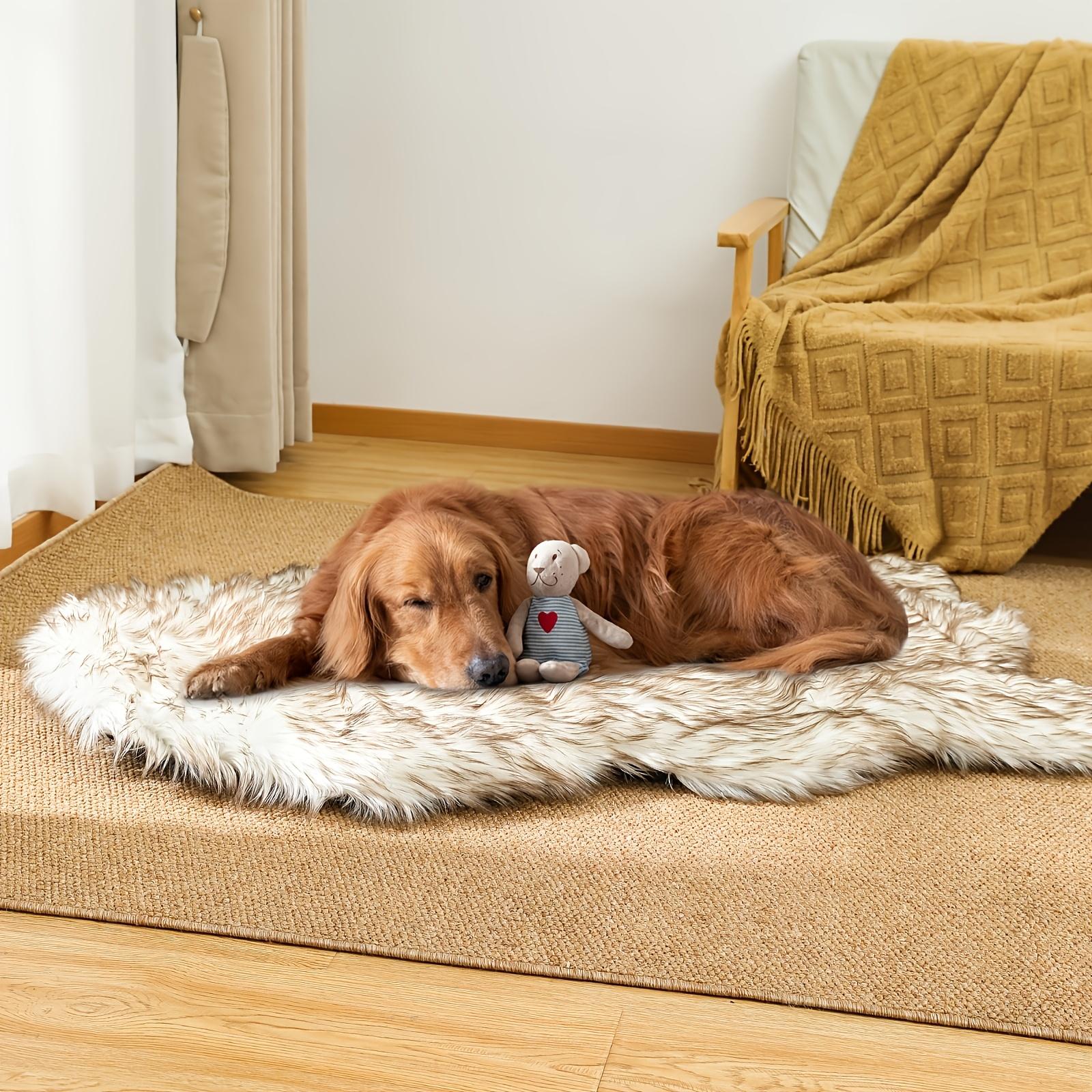 Golden retriever sleeping on a faux-fur memory-foam dog bed in the living room