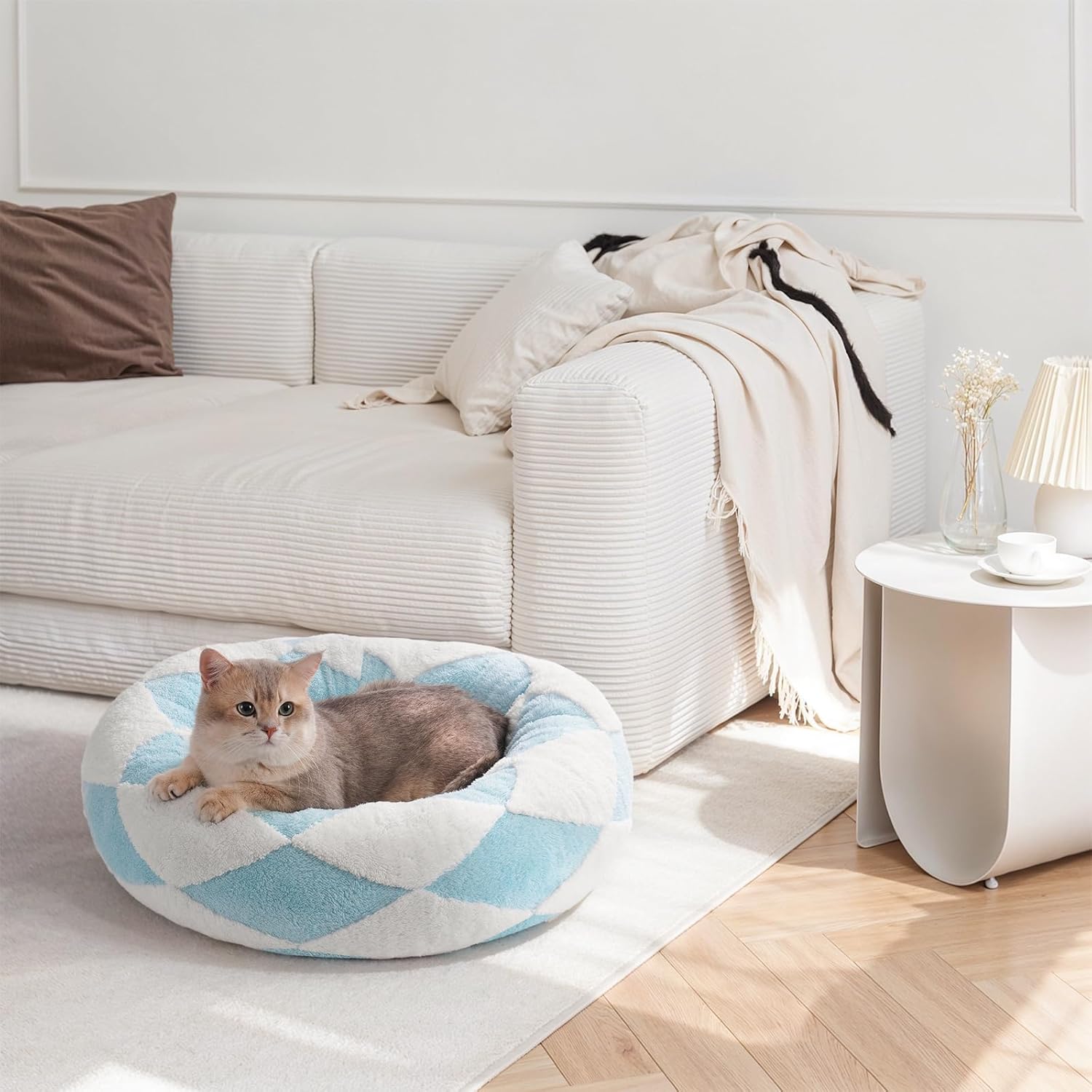 Cat lounging in a blue-check donut pet bed in the living room.
