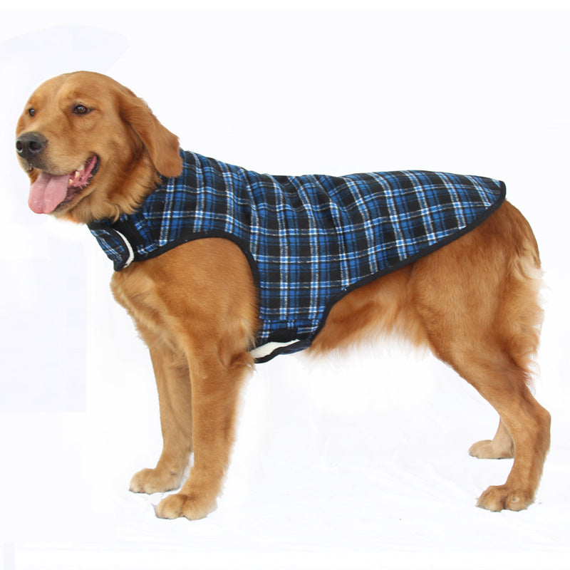 Side full view of medium/large dog in blue-black plaid coat with high neck.
