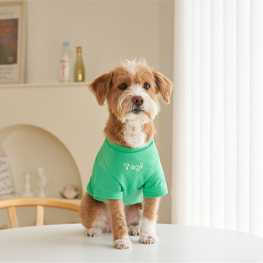 Soda Blue cotton pet tee side view showing sleeve and fit details.