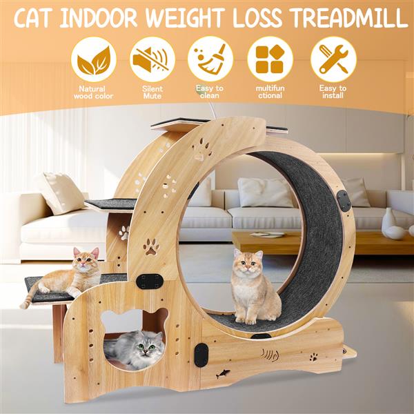 Close-up of 6-in-1 cat gym with steps and hideaway.