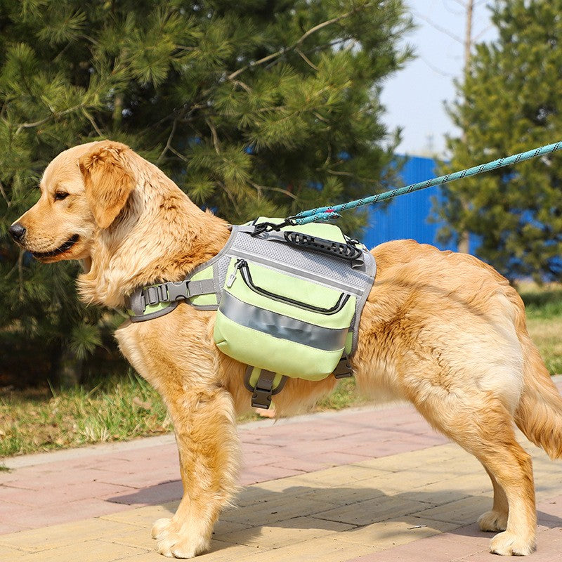 Side full view of large dog wearing green outdoor backpack with leash attached.