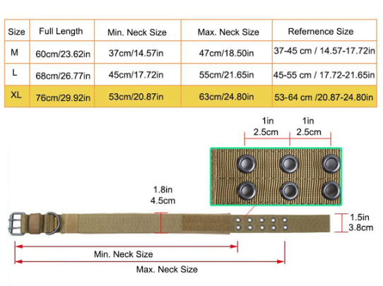 Close-up of double-prong buckle and five adjustment holes on collar