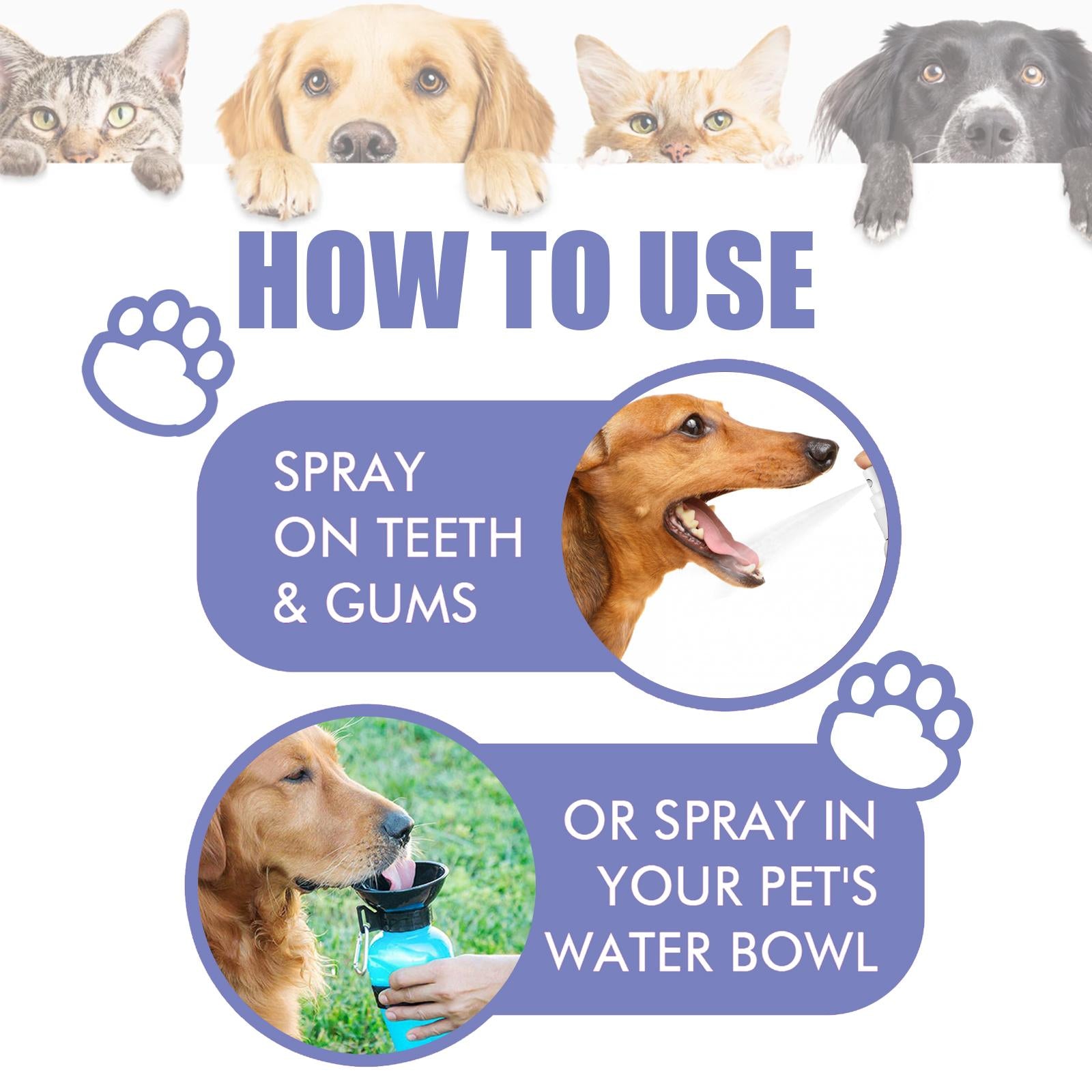 Natural ingredient pet mouth spray