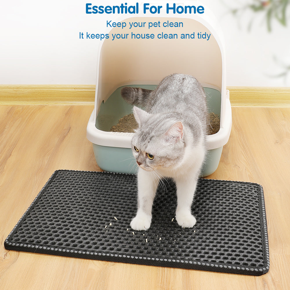 White-gray cat standing on the mat beside the litter box in a bright room