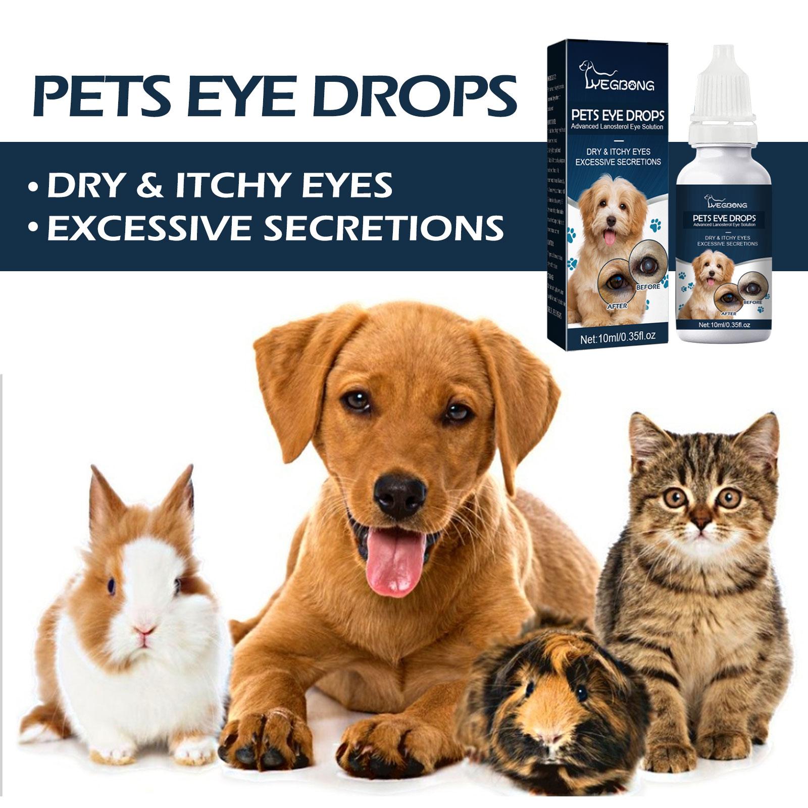 Natural ingredients used in pet eye drops formula