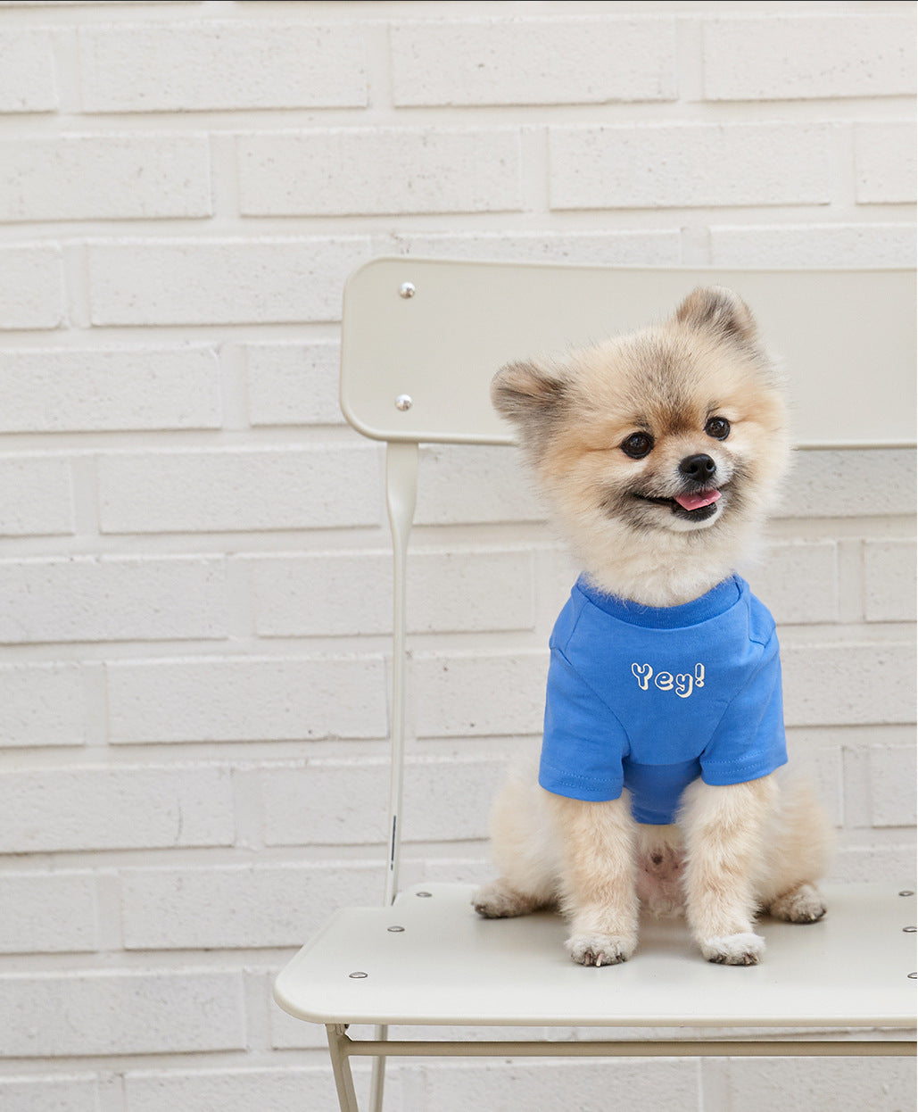 Lava Cheese cotton tee back and print detail close-up, showing fabric texture.