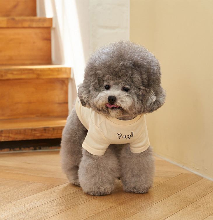 Vanilla Cream flatlay showing size and fabric feel.