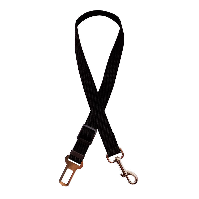 Adjustable slider and nylon webbing detail showing retractable length.