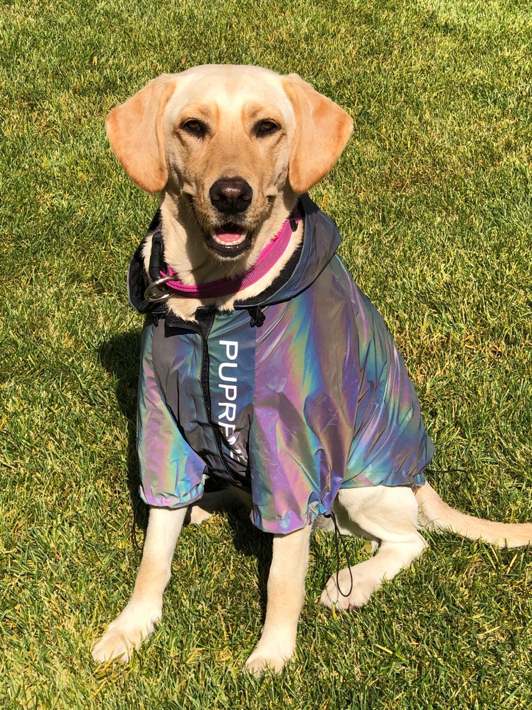 Close-up of reflective fabric texture and stitching details.