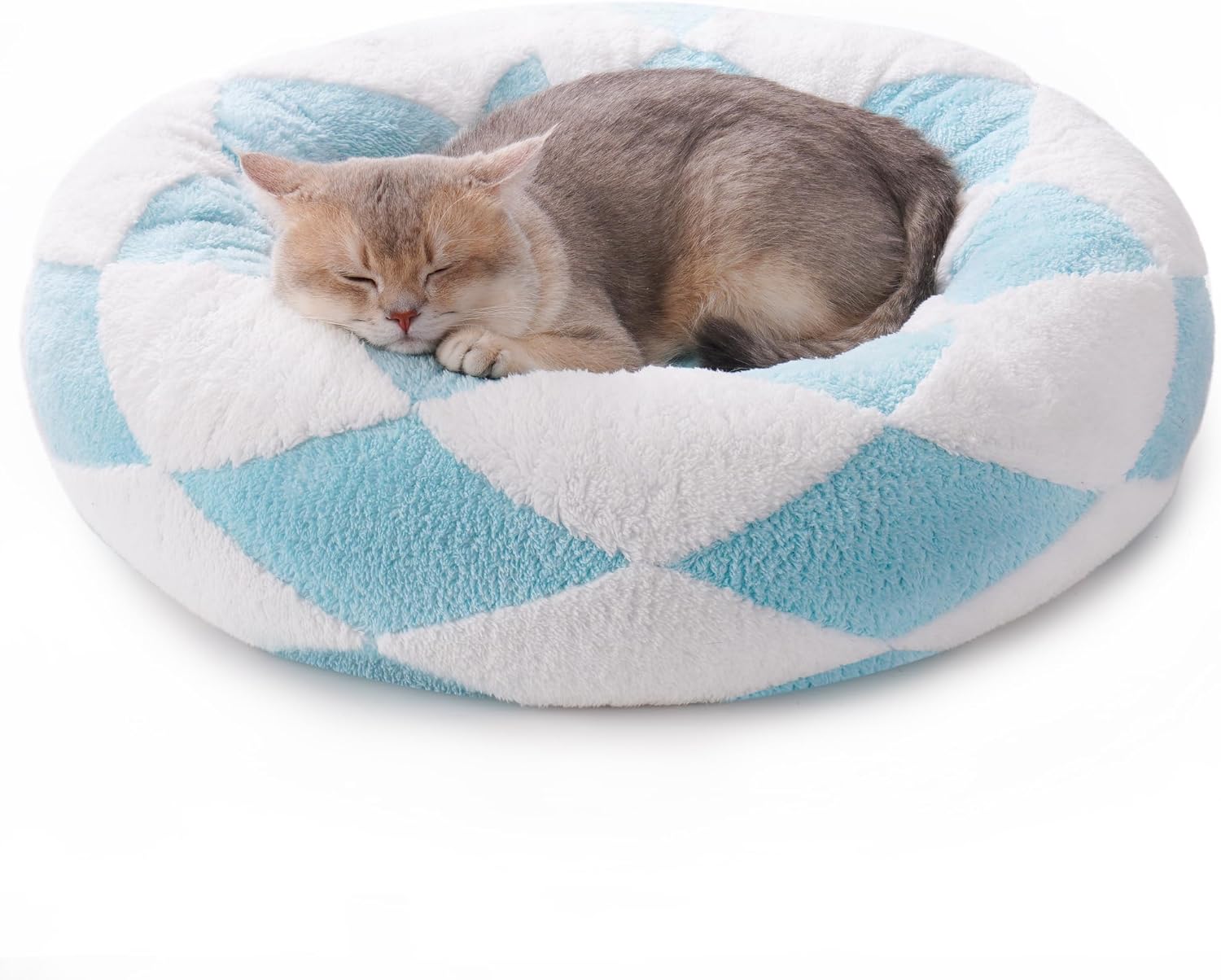 Close-up of a cat sleeping peacefully on the donut bed.