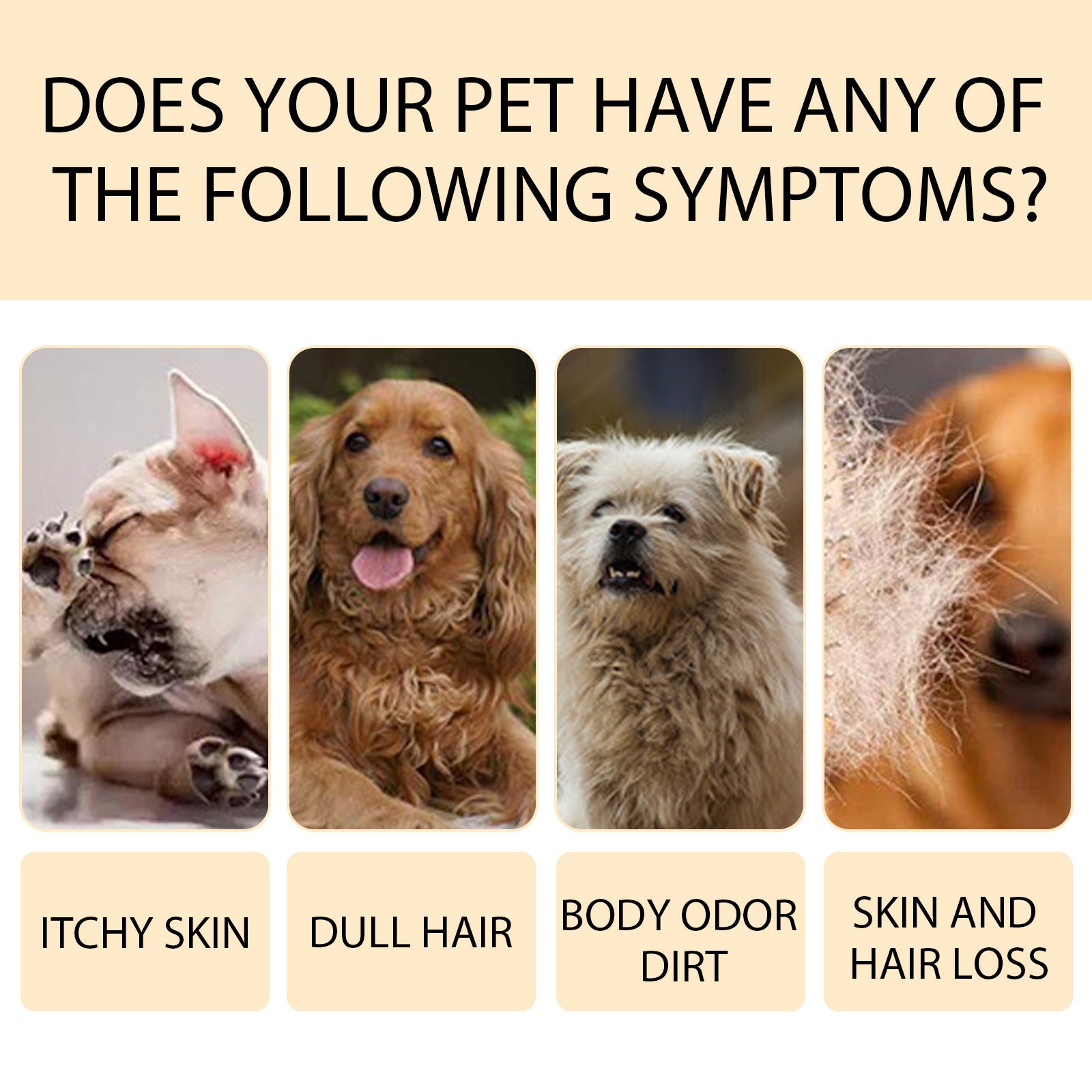 Pet shampoo benefits graphic: cleanses without stripping and hydrates coat and skin