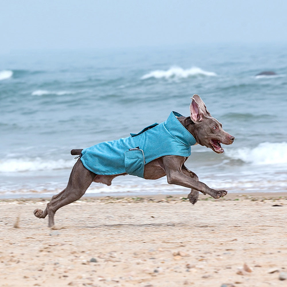 High-neck wind guard shown upright, covering the neck against breeze.