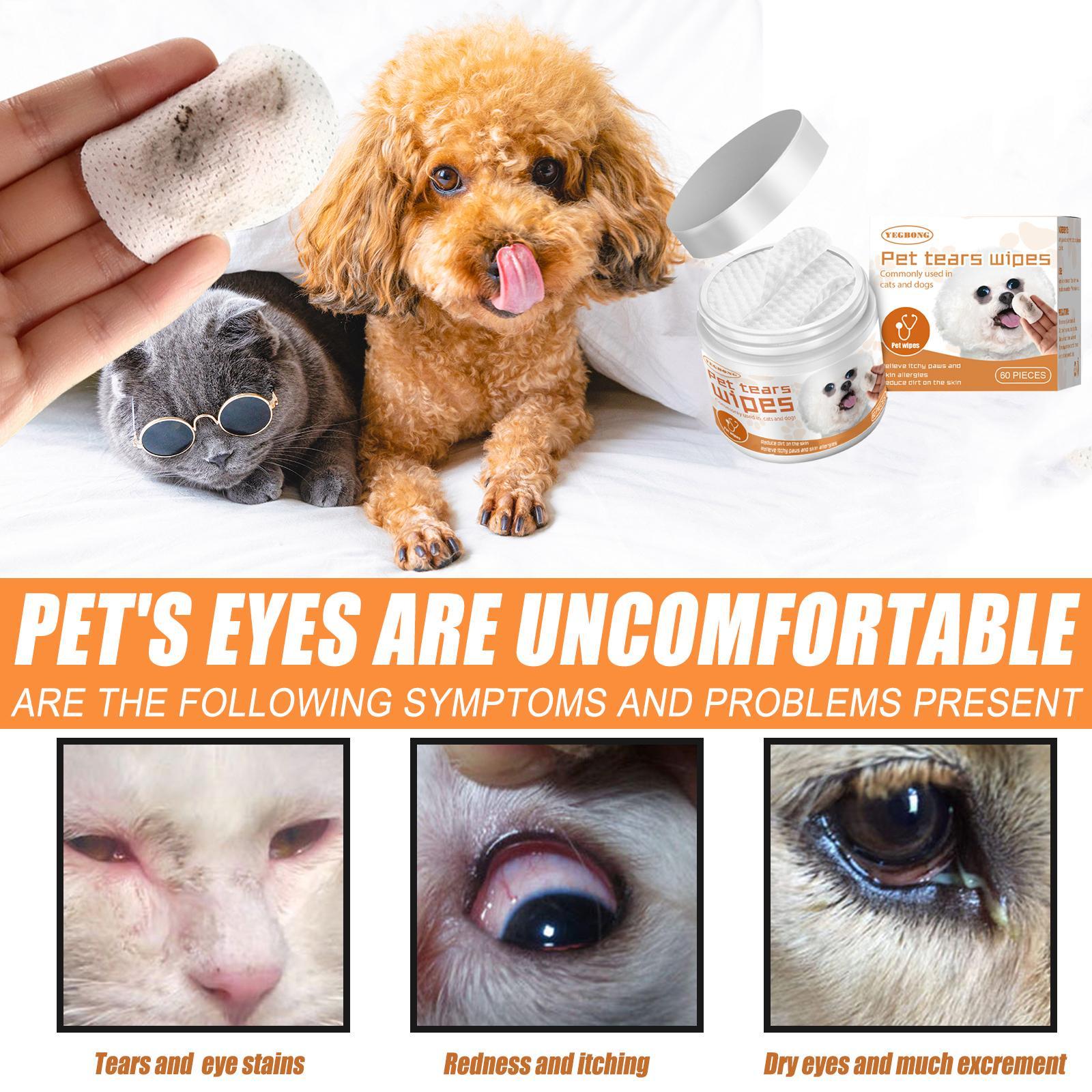 Step-by-step guide showing how to use pet tear stain wipes