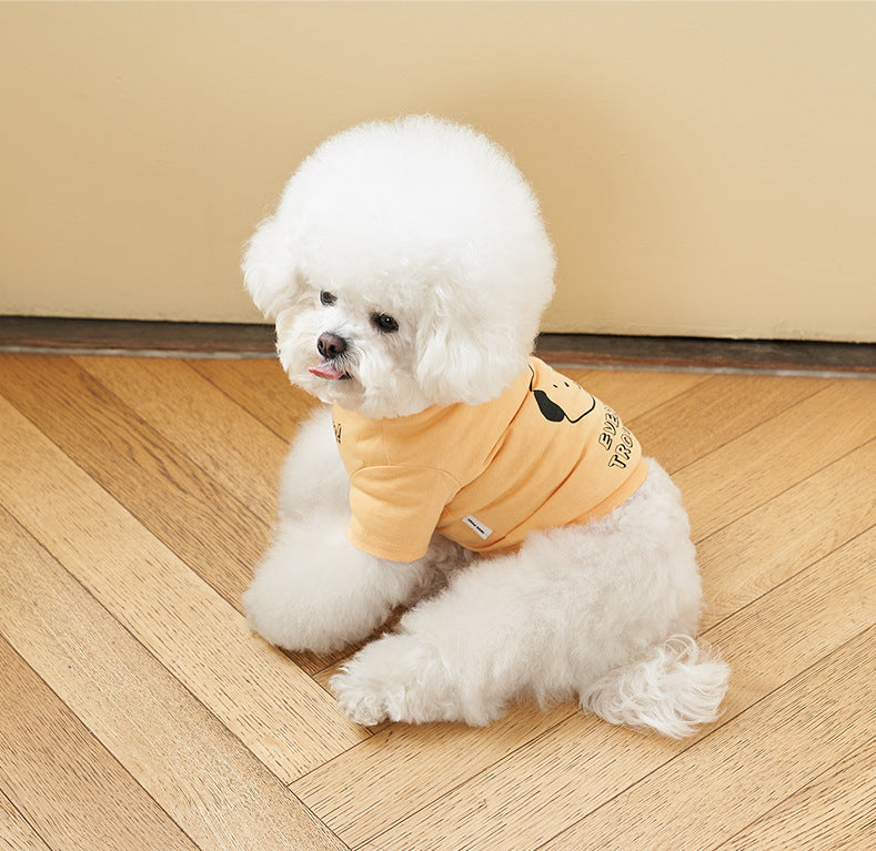 Color lineup — Papaya, Soda Blue, Lava Cheese, Vanilla Cream side-by-side.