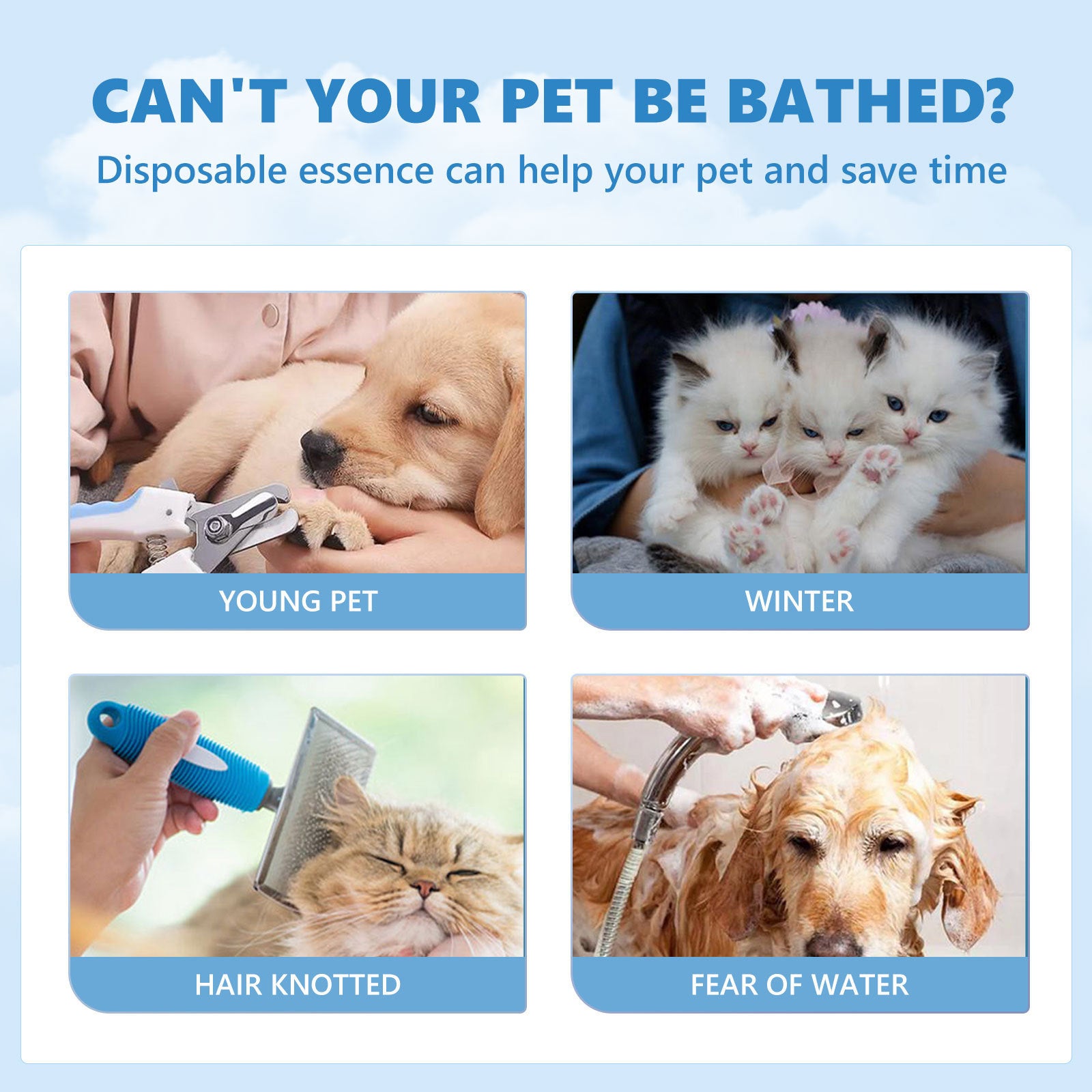 Waterless grooming solution for dogs and cats in cold weather