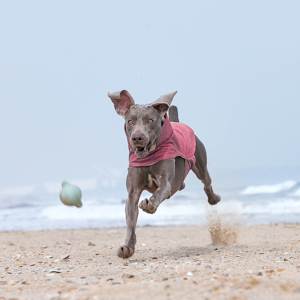 Close-up of adjustable belly hook-and-loop strap for secure, easy on/off.