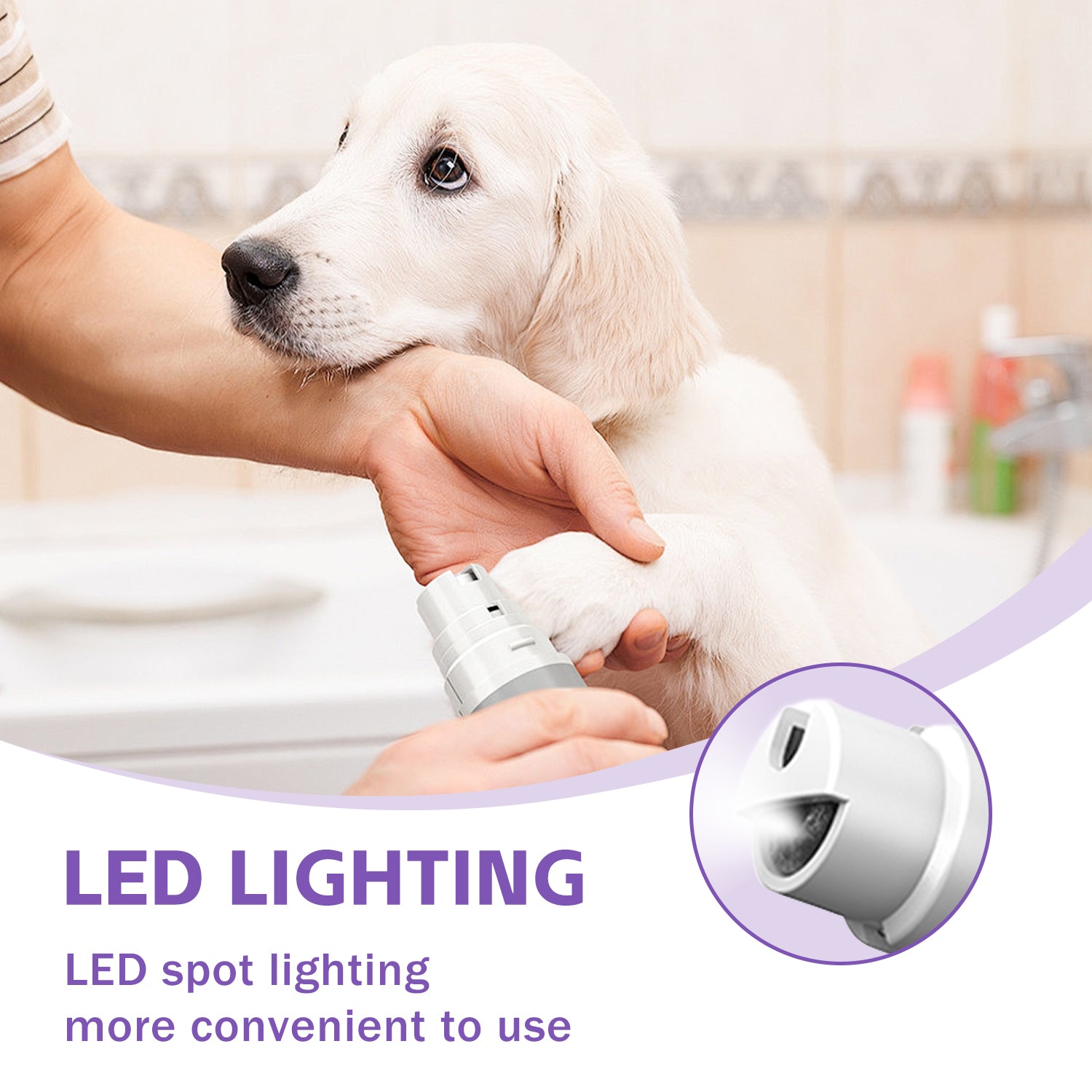 LED spotlight illuminates the quick for safer, precise trimming on a puppy