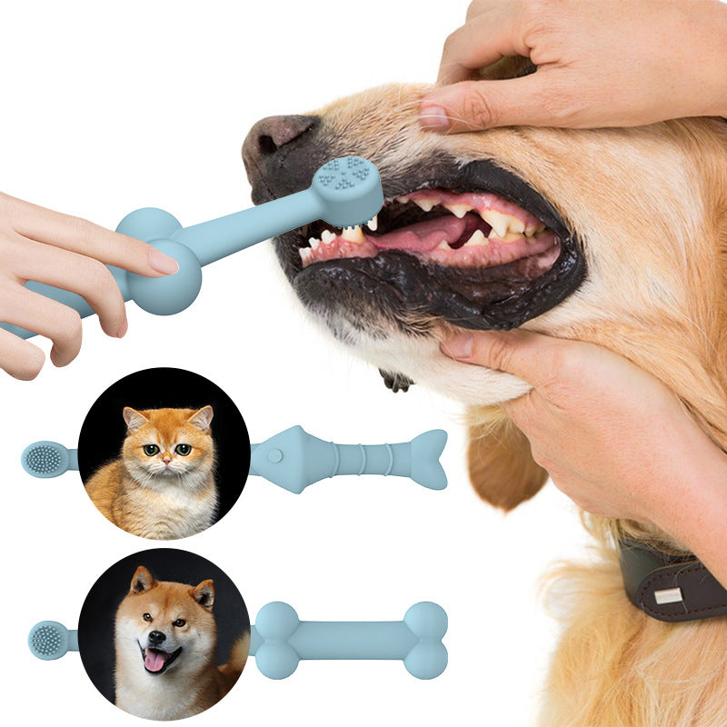 Dog owner holding silicone pet toothbrush for daily oral care