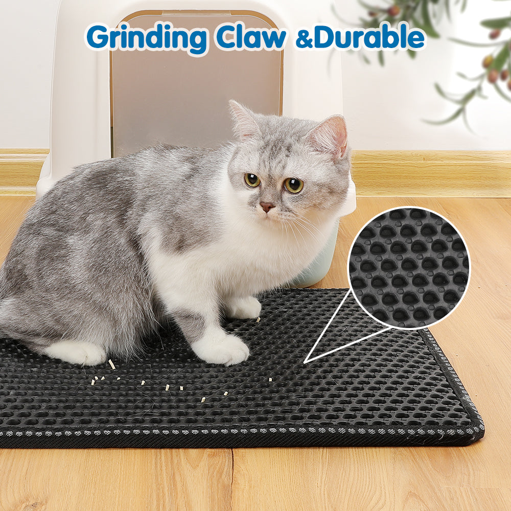 Cat sitting on textured mat with magnified dot pattern, claw-friendly surface.