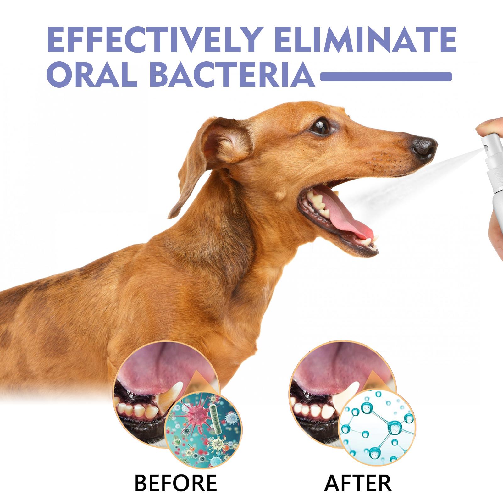 Pet oral spray eliminating bad breath