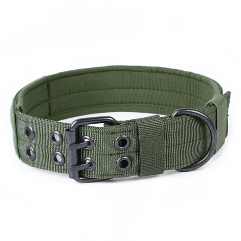 Army-green tactical nylon dog collar with padded liner and metal buckle