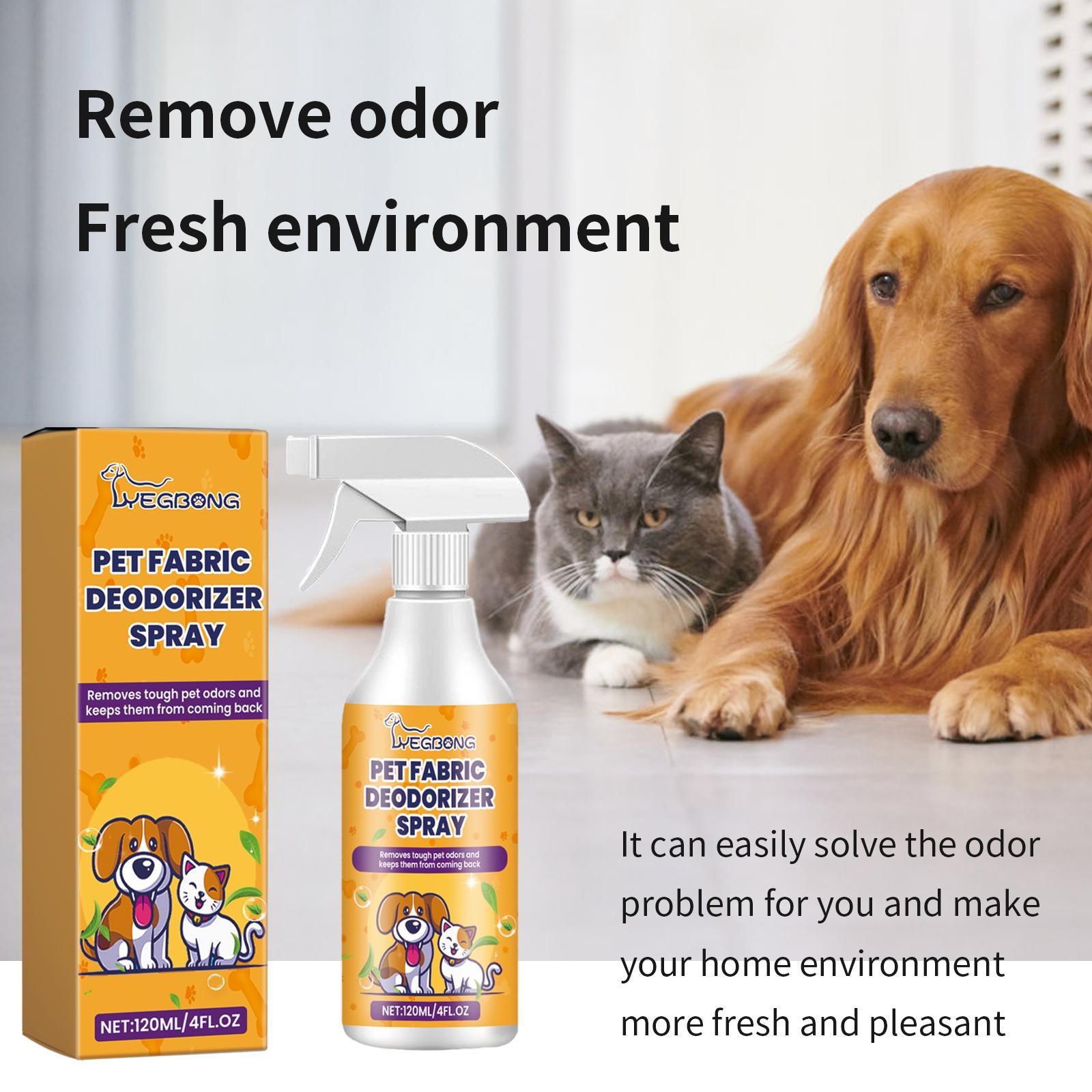 Removes pet urine smell and lingering pet odor on carpets and rugs