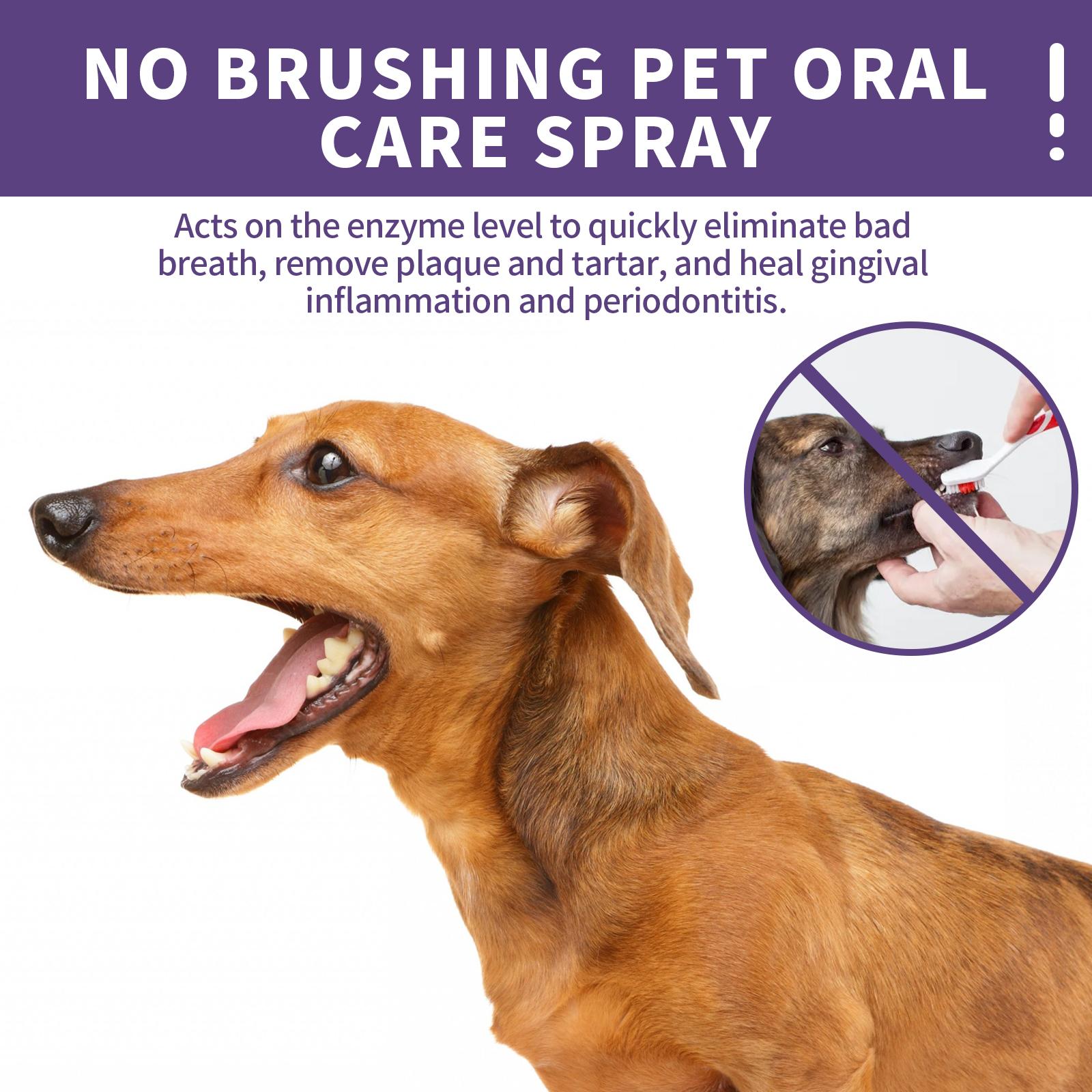 Dog breath freshening concept image for daily oral hygiene support
