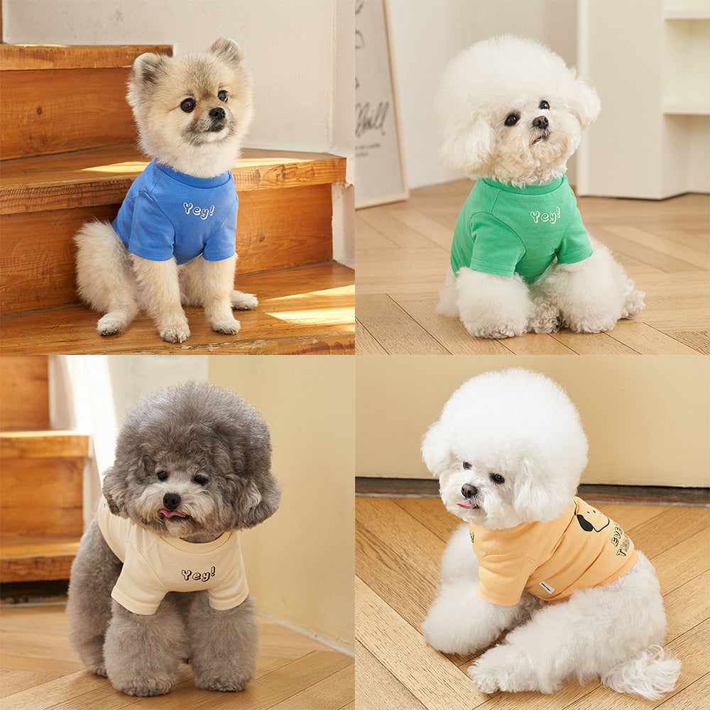 Papaya color cotton pet tee — PawGear front view on small dog/cat model.