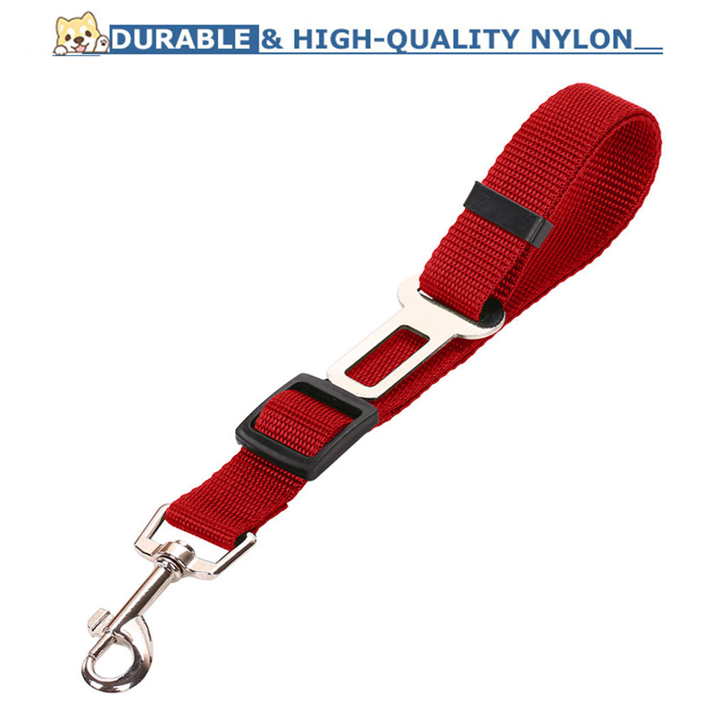 Durable nylon webbing and metal hardware close-up