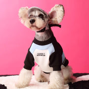 Front view of pink colorblock cotton pet sweatshirt with ribbed neckline.