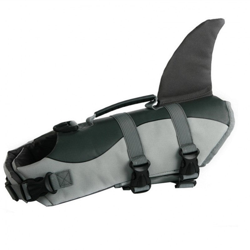 Waterside lifestyle shot concept—dog wearing life jacket ready for swimming.