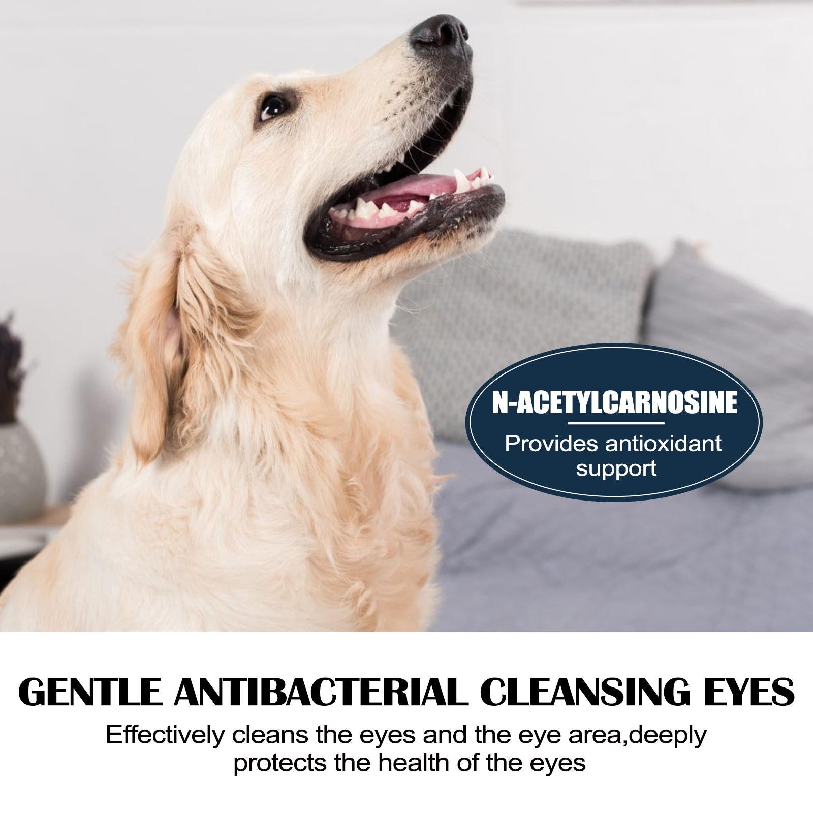 Before and after eye cleaning results for dogs