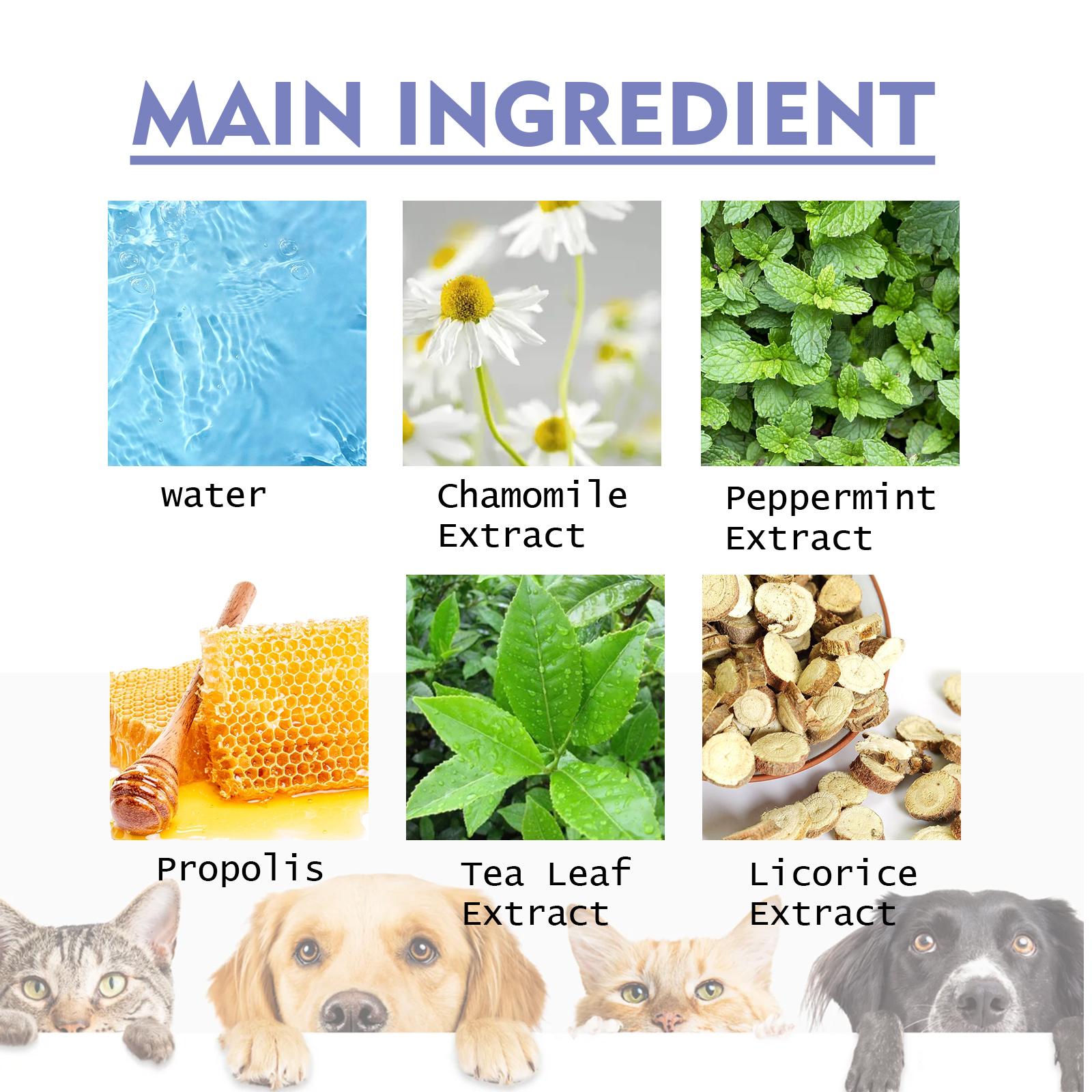 Key ingredients collage: water, chamomile, peppermint, propolis, tea leaf, licorice extracts