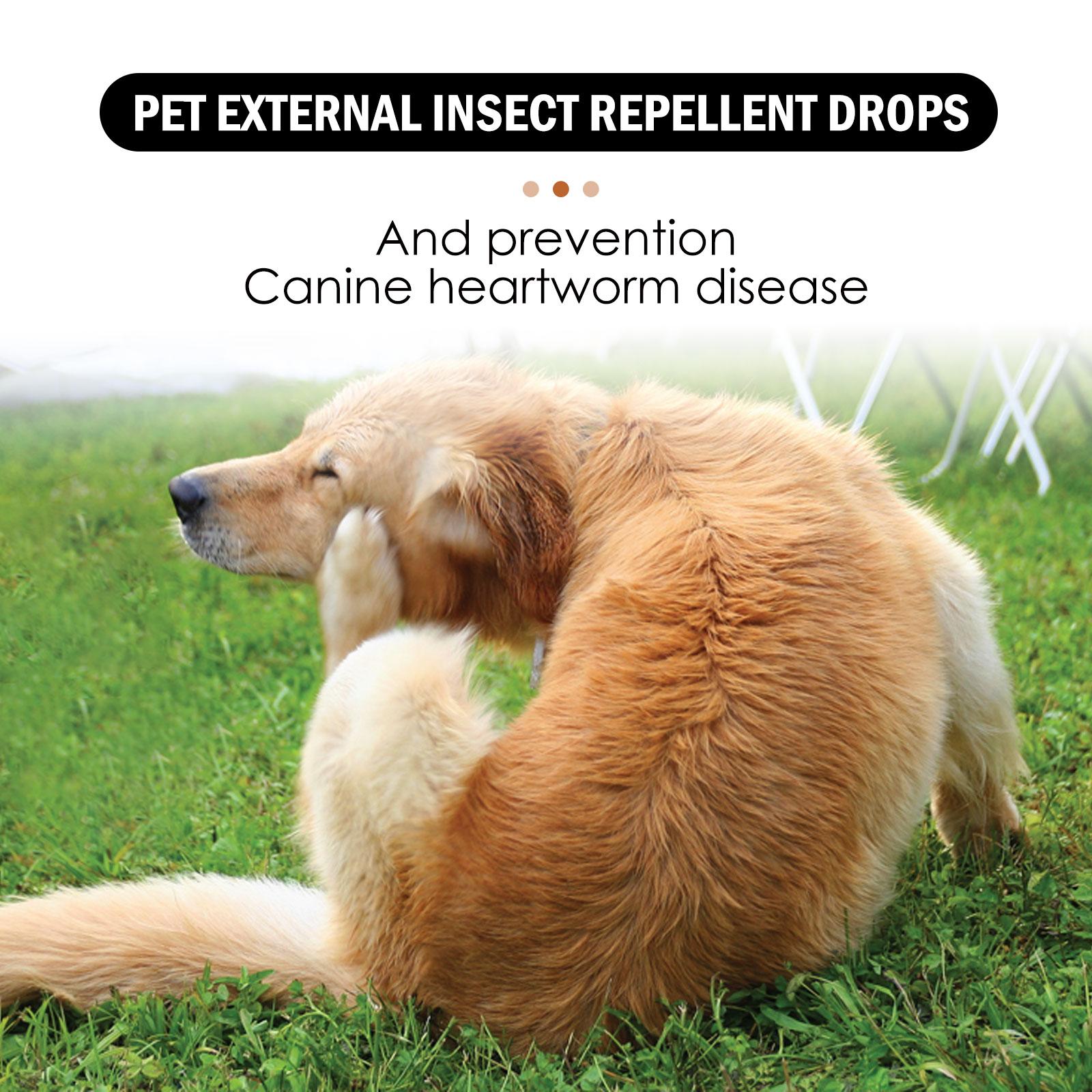 How to use pet drops step-by-step application on neck skin
