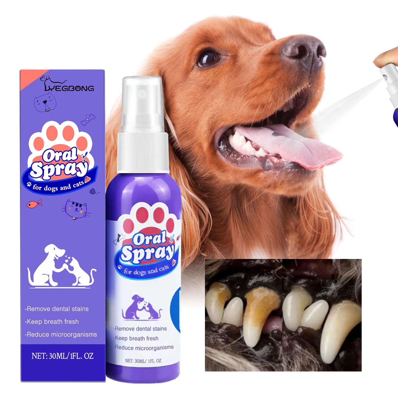 Dog and cat oral spray for daily dental care