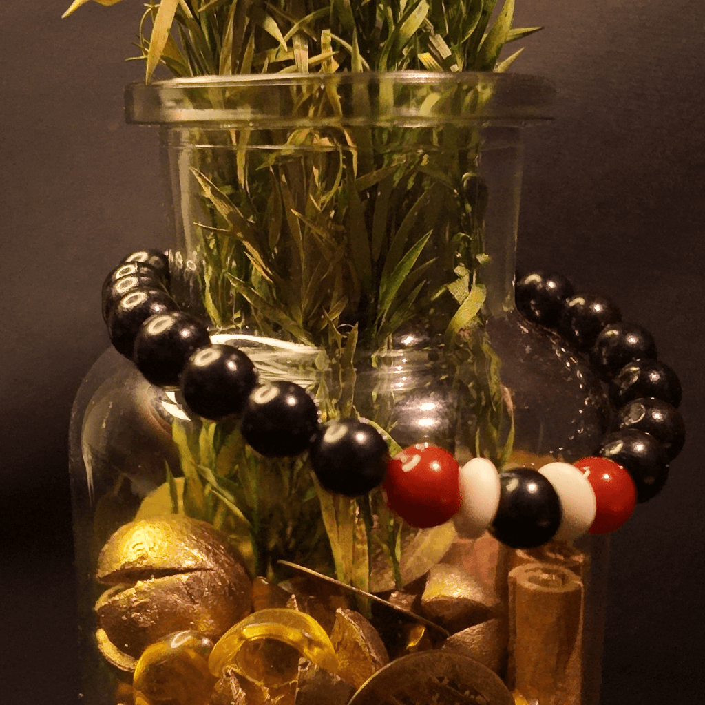 Red agate and ebony energy healing bracelet