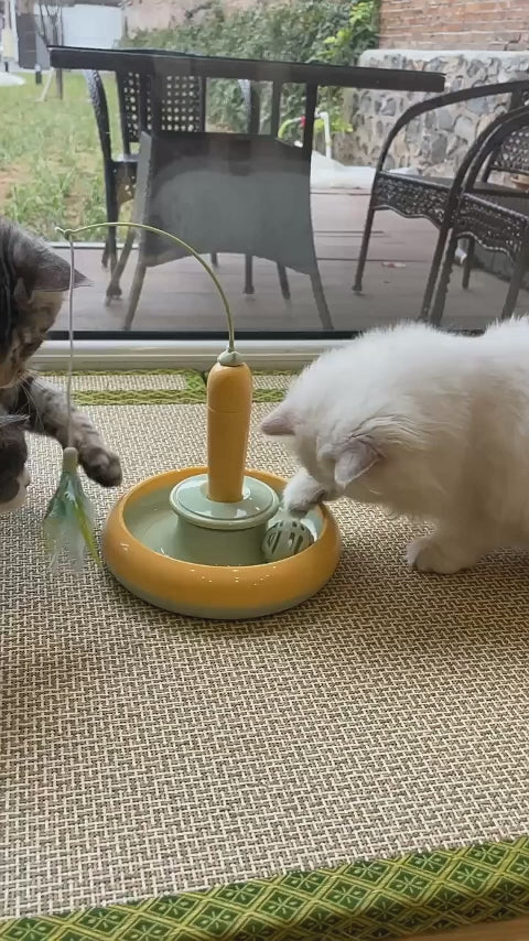 Load video: PawGear Interactive Electronic Cat Toy