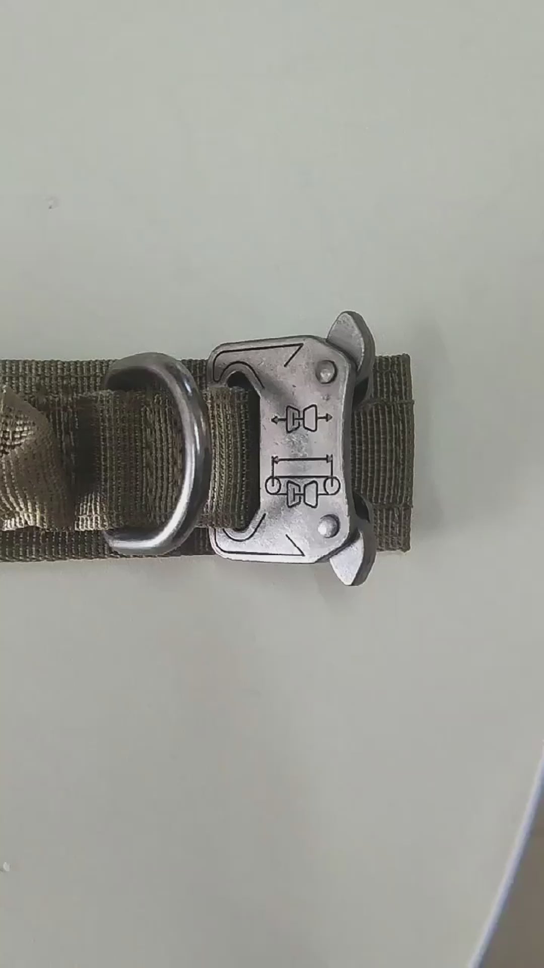 Load video: Tactical Nylon Dog Collar with Padded Liner